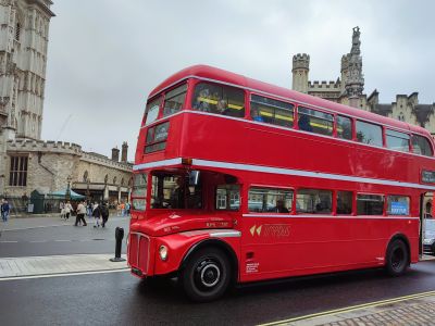 IMG_20231012_1334353.jpg